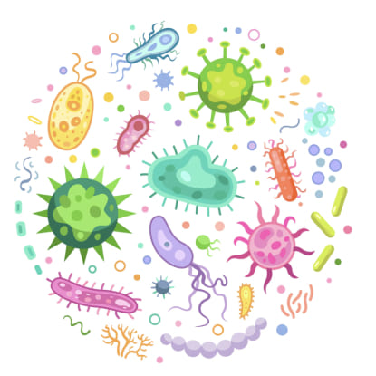 Lupus eritematoso generalizado, información en general